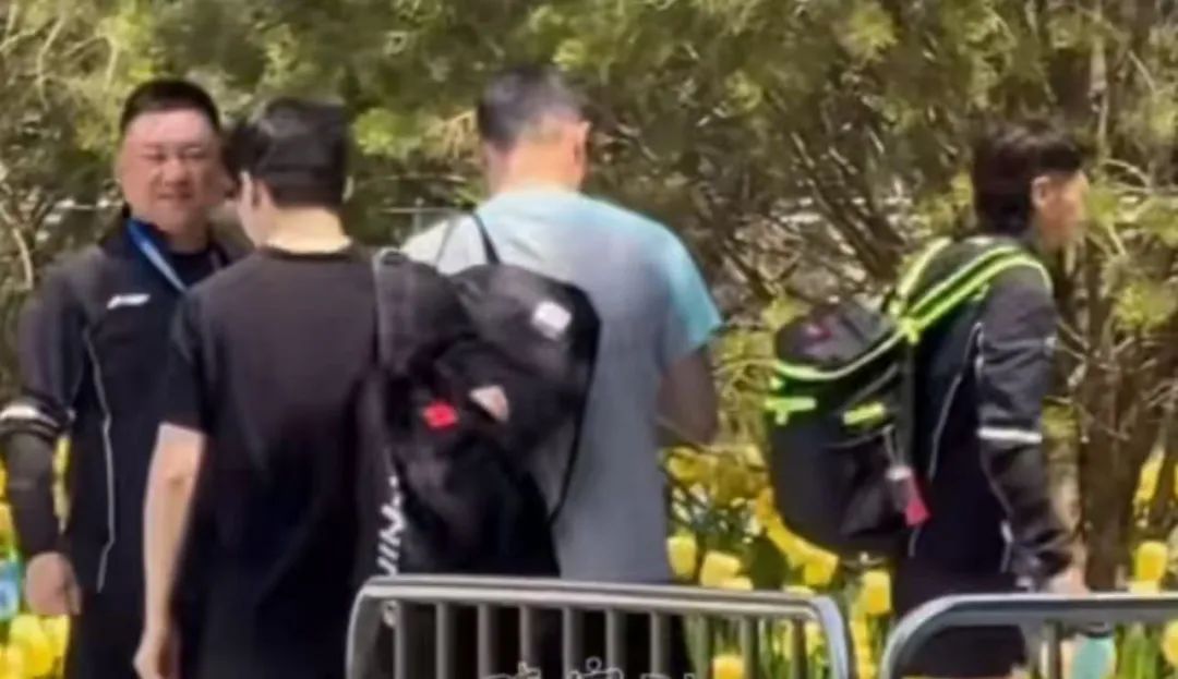 樊振東乒超聯賽備戰_林高遠蒯曼參賽名單_2026乒乓球中超聯賽