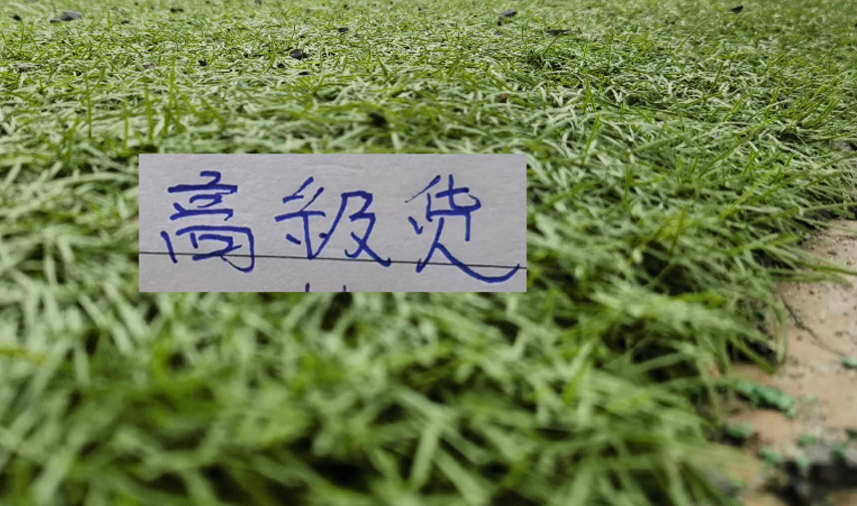 中超前7輪五大寶藏引援！領(lǐng)頭羊+有馬萊萊大連 都成功撿漏