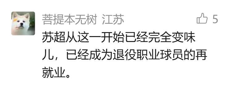 中超聯(lián)賽場(chǎng)邊廣告_蘇超職業(yè)球員限制_蘇超商業(yè)贊助模式