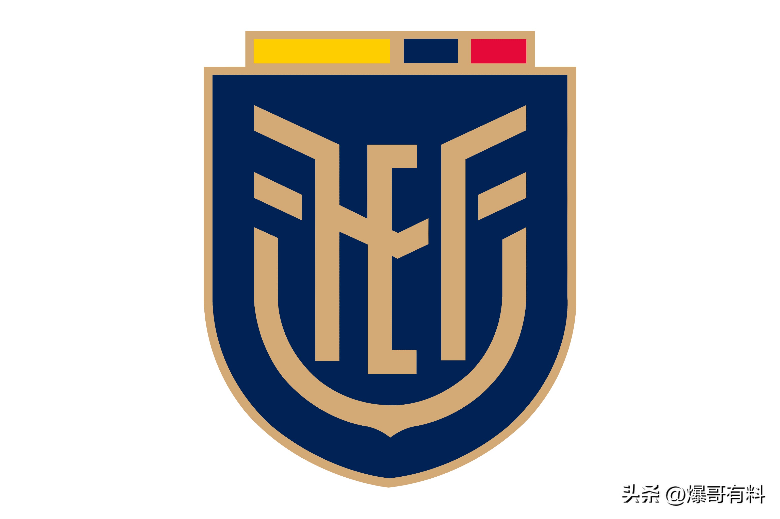 厄瓜多爾國(guó)家隊(duì)預(yù)選賽戰(zhàn)績(jī)解讀_2026年美加墨世界杯厄瓜多爾球隊(duì)分析_2026年巴西歷史最慘的一次世界杯