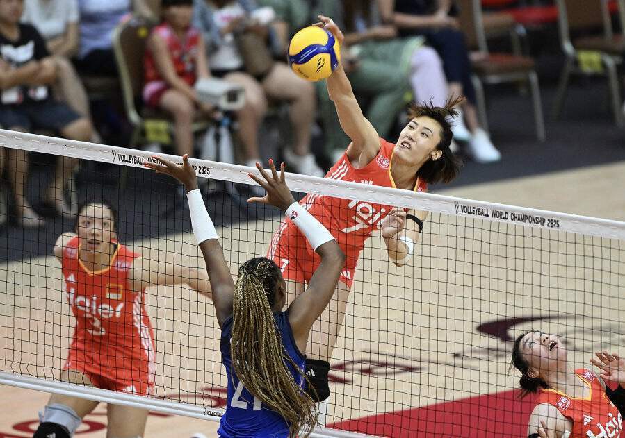 中國女排集訓名單2026_中國男排集訓計劃_女排歐冠聯賽直播地址