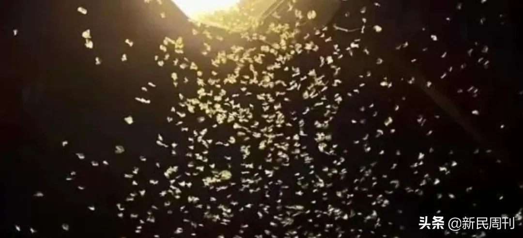 2002年中國隊世界杯首戰_國足沖擊世界杯歷史_國足世界杯之旅20周年