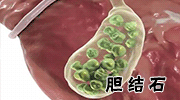 德國和阿根廷世界杯歷史戰(zhàn)績_阿根廷世界杯決賽 梅西點球絕殺 法國隊 足球球王