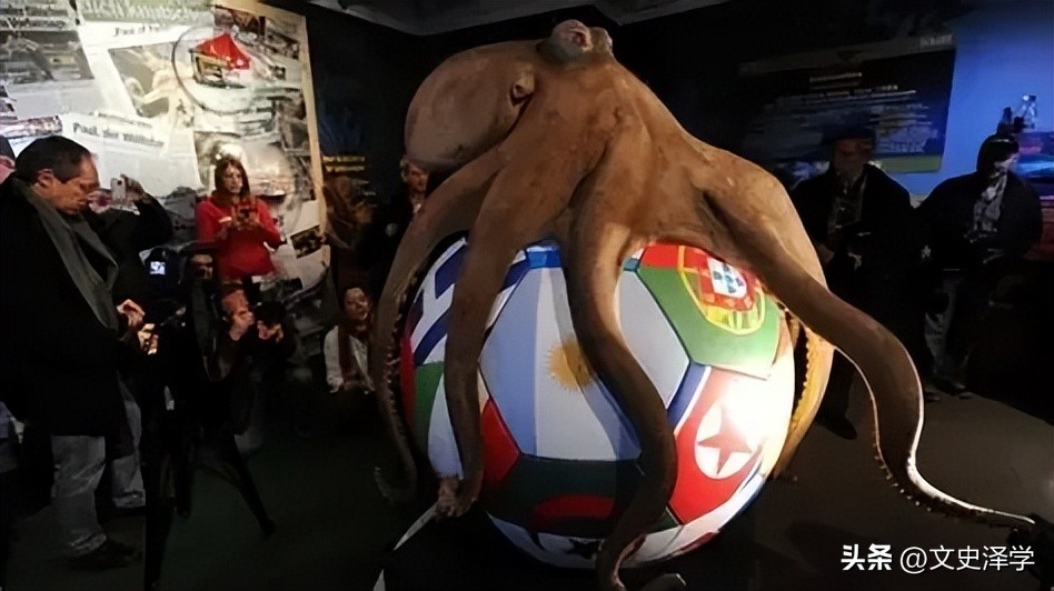 世界杯起源與發展_德國和阿根廷世界杯歷史戰績_國際足聯世界杯歷史