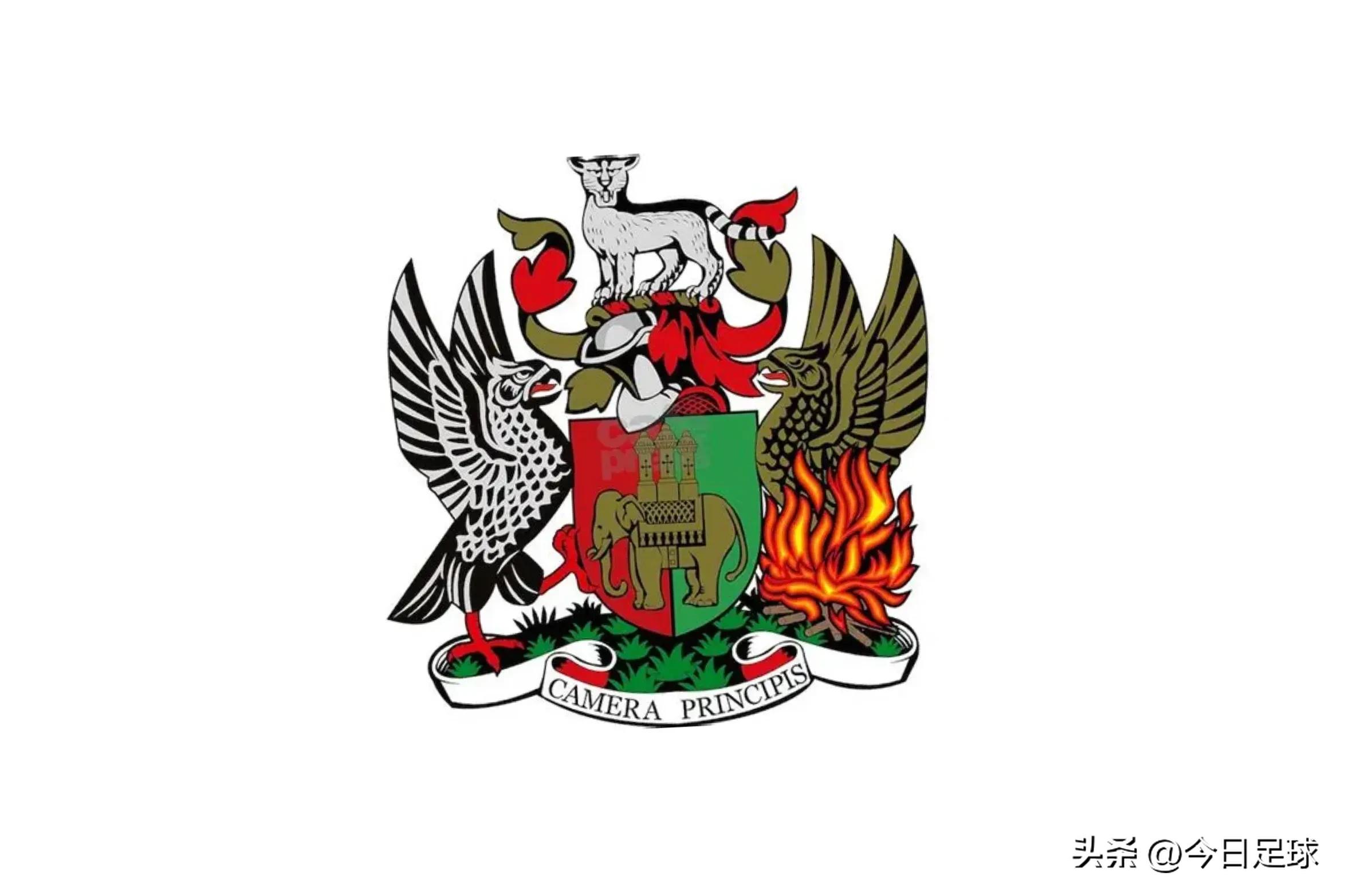 英超聯(lián)賽球隊隊徽_考文垂隊徽設(shè)計歷史演變_考文垂隊重返英超聯(lián)賽