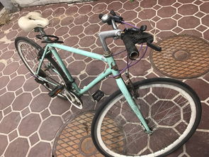 大林附近面交 公路自行車超低價(jià)轉(zhuǎn)讓